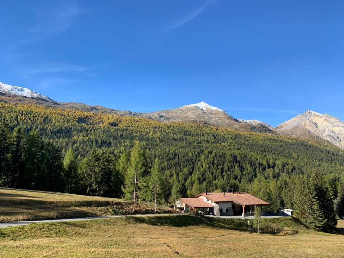 Chasa Al Battaporta Hotel Tschierv Екстериор снимка